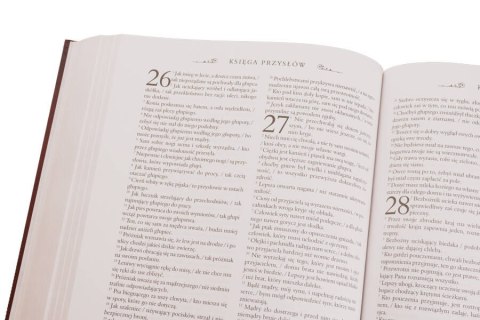 Pismo Święte Starego i Nowego Testamentu Biblia domowa W ETUI PIĘKNA DUŻA Pismo Święte Starego i Nowego Testamentu Biblia domowa W ETUI PIĘKNA DUŻA