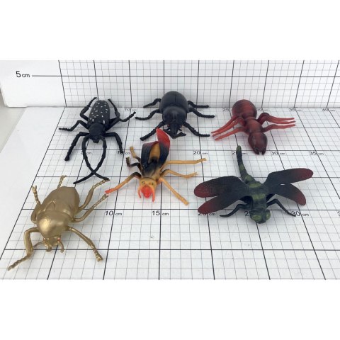 INSEKTY W FOLII 1SZT. INSEKTY W FOLII 1SZT.