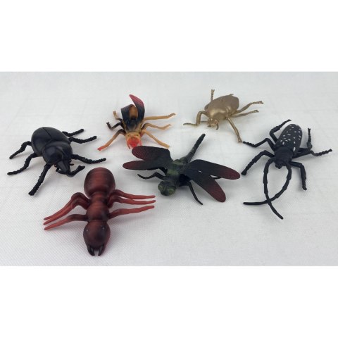 INSEKTY W FOLII 1SZT. INSEKTY W FOLII 1SZT.