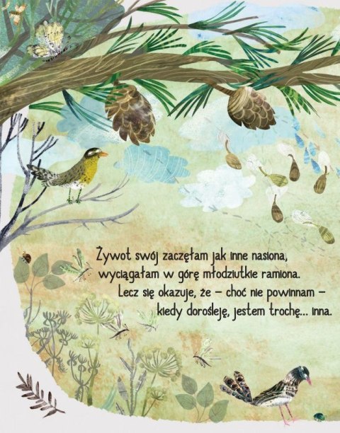 Choinka. Jestem, jaka jestem Choinka. Jestem, jaka jestem