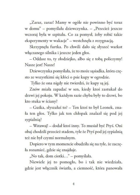 Gnomon i tajemnica starego domu, tom 1