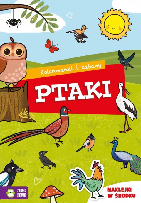 Kolorowanki i zabawy. Ptaki Kolorowanki i zabawy. Ptaki