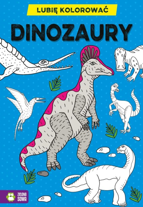 Lubię kolorować. Dinozaury Lubię kolorować. Dinozaury