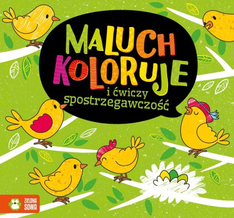 Maluch koloruje i ćwiczy spostrzegawczość Maluch koloruje i ćwiczy spostrzegawczość