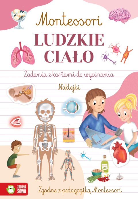 Montessori. Ludzkie ciało Montessori. Ludzkie ciało
