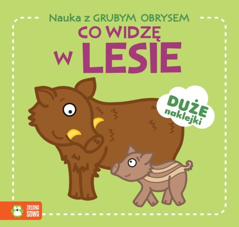 Nauka z grubym obrysem. Co widzę w lesie? Nauka z grubym obrysem. Co widzę w lesie?