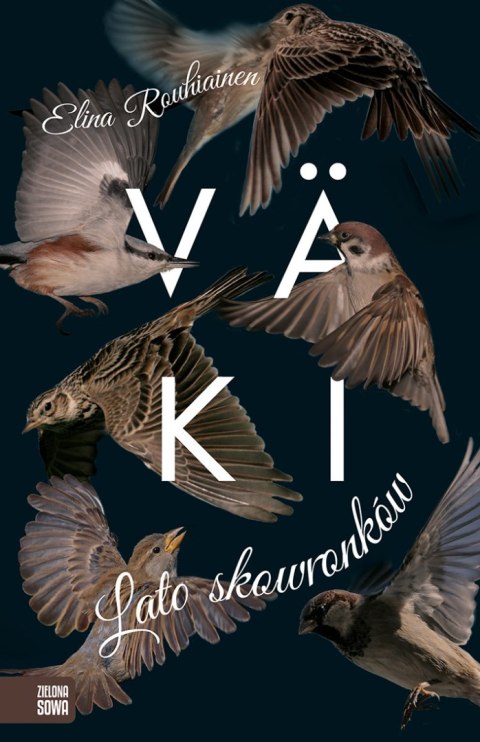 VAKI. Lato skowronków VAKI. Lato skowronków