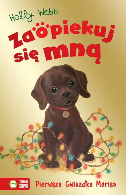 Zaopiekuj się mną. Pierwsza Gwiazdka Morisa Zaopiekuj się mną. Pierwsza Gwiazdka Morisa