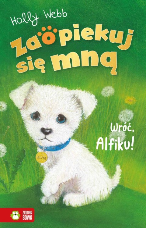 Zaopiekuj się mną. Wróć Alfiku Zaopiekuj się mną. Wróć Alfiku