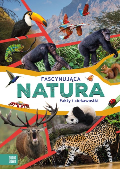Fascynująca natura Fascynująca natura