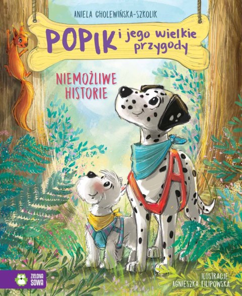 Popik i jego wielkie przygody. Niemożliwe historie Popik i jego wielkie przygody. Niemożliwe historie