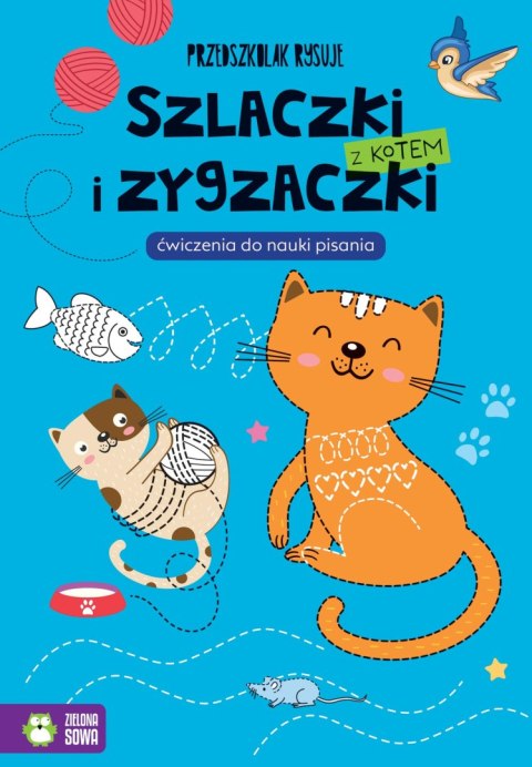 Przedszkolak rysuje. Szlaczki i zygzaczki z kotem Przedszkolak rysuje. Szlaczki i zygzaczki z kotem