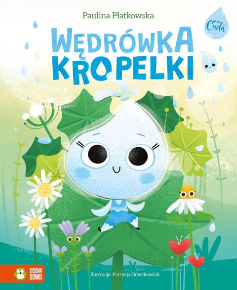 Wędrówka kropelki Wędrówka kropelki