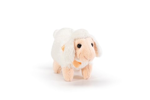 TRUDI SWEET COLLECTION OWCA TRUDI SWEET COLLECTION OWCA